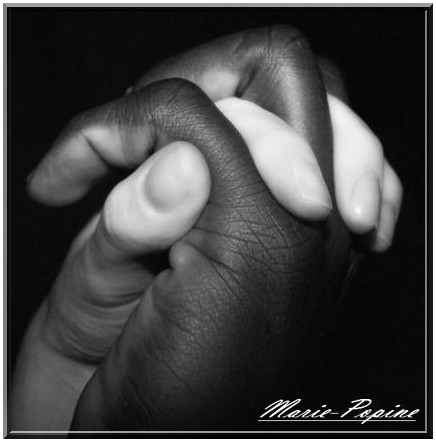 4103598468_d9cdd6ee5d